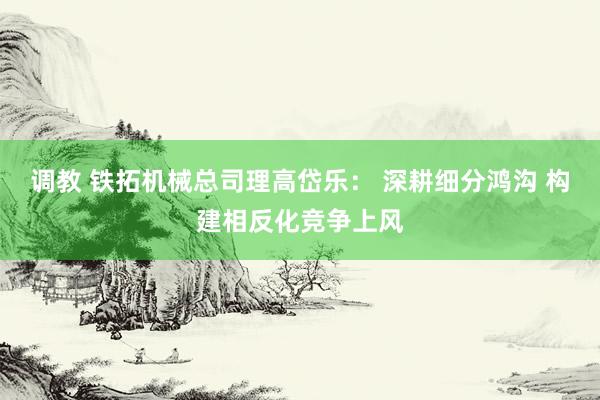 调教 铁拓机械总司理高岱乐： 深耕细分鸿沟 构建相反化竞争上风