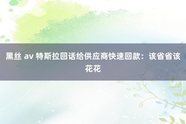 黑丝 av 特斯拉回话给供应商快速回款：该省省该花花