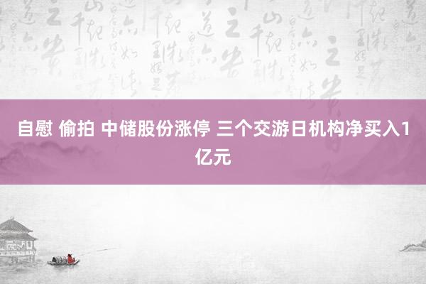 自慰 偷拍 中储股份涨停 三个交游日机构净买入1亿元