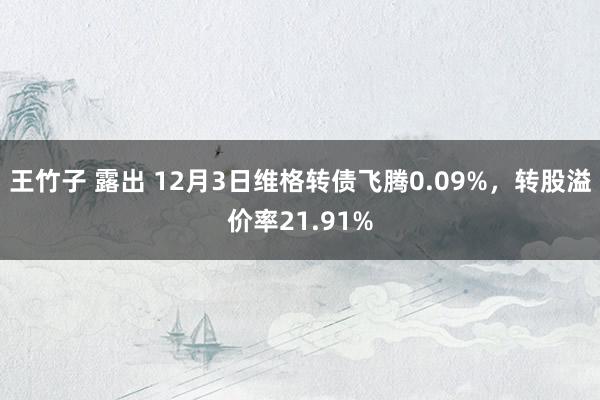 王竹子 露出 12月3日维格转债飞腾0.09%，转股溢价率21.91%