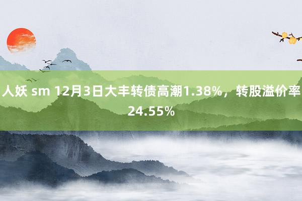 人妖 sm 12月3日大丰转债高潮1.38%，转股溢价率24.55%