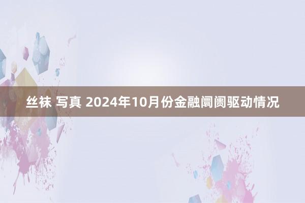 丝袜 写真 2024年10月份金融阛阓驱动情况