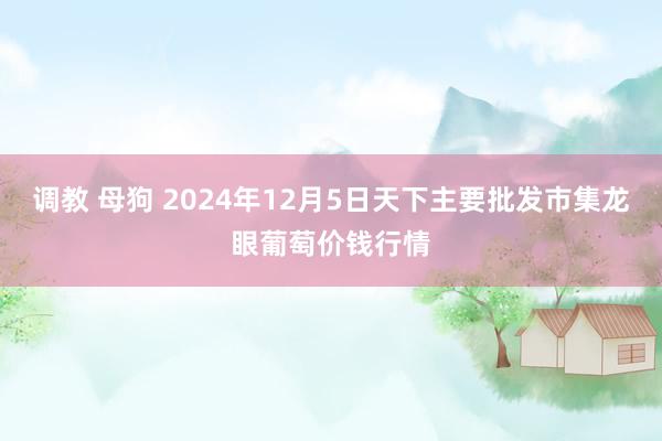 调教 母狗 2024年12月5日天下主要批发市集龙眼葡萄价钱行情