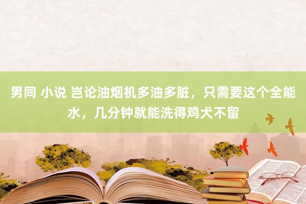 男同 小说 岂论油烟机多油多脏，只需要这个全能水，几分钟就能洗得鸡犬不留