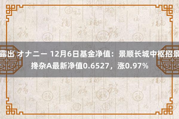 露出 オナニー 12月6日基金净值：景顺长城中枢招景搀杂A最新净值0.6527，涨0.97%