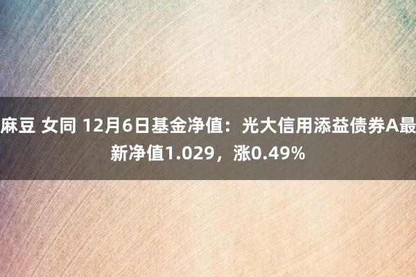 麻豆 女同 12月6日基金净值：光大信用添益债券A最新净值1.029，涨0.49%