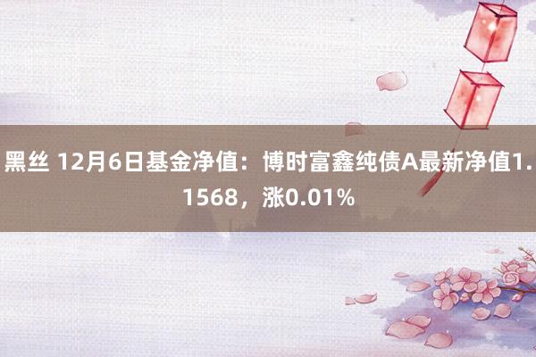 黑丝 12月6日基金净值：博时富鑫纯债A最新净值1.1568，涨0.01%