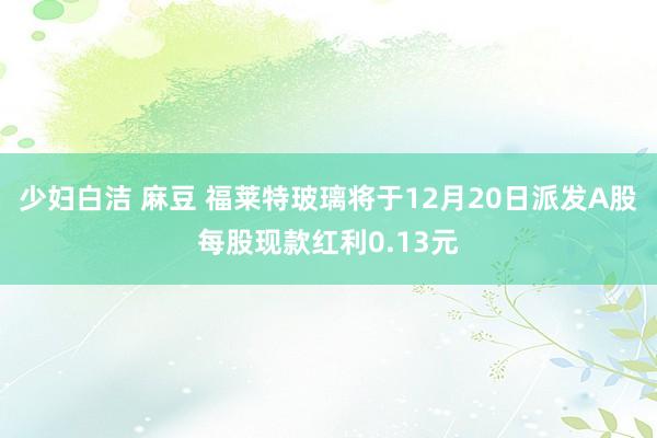 少妇白洁 麻豆 福莱特玻璃将于12月20日派发A股每股现款红利0.13元