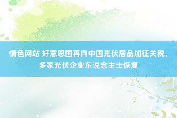 情色网站 好意思国再向中国光伏居品加征关税，多家光伏企业东说念主士恢复