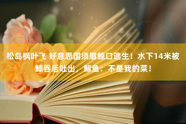 松岛枫叶飞 好意思国须眉鲸口逃生！水下14米被鲸吞后吐出，鲸鱼：不是我的菜！