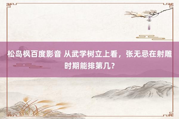 松岛枫百度影音 从武学树立上看，张无忌在射雕时期能排第几？