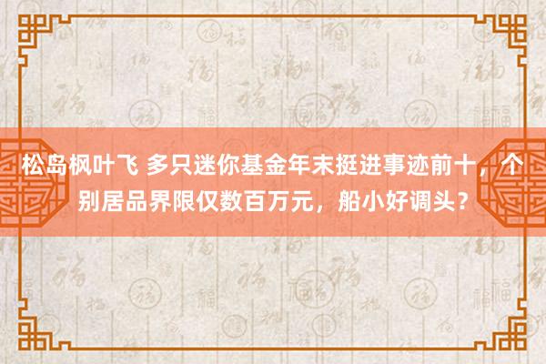 松岛枫叶飞 多只迷你基金年末挺进事迹前十，个别居品界限仅数百万元，船小好调头？