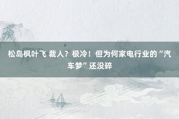 松岛枫叶飞 裁人？极冷！但为何家电行业的“汽车梦”还没碎