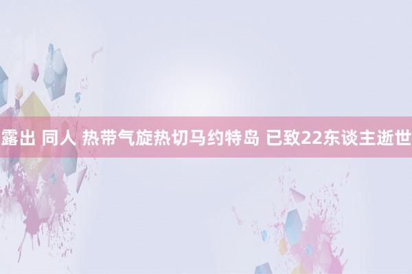 露出 同人 热带气旋热切马约特岛 已致22东谈主逝世