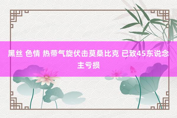 黑丝 色情 热带气旋伏击莫桑比克 已致45东说念主亏损