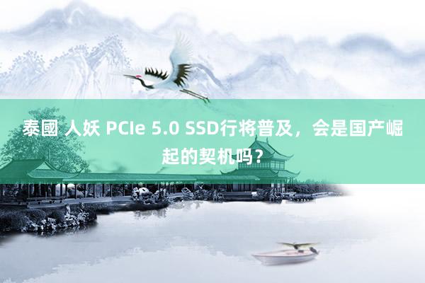 泰國 人妖 PCIe 5.0 SSD行将普及，会是国产崛起的契机吗？