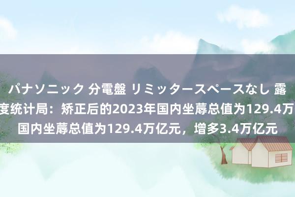 パナソニック 分電盤 リミッタースペースなし 露出・半埋込両用形 国度统计局：矫正后的2023年国内坐蓐总值为129.4万亿元，增多3.4万亿元