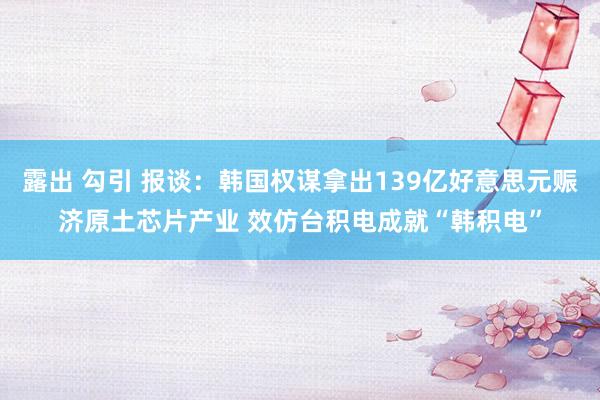 露出 勾引 报谈：韩国权谋拿出139亿好意思元赈济原土芯片产业 效仿台积电成就“韩积电”