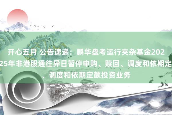 开心五月 公告速递：鹏华盘考运行夹杂基金2024年末及2025年非港股通往异日暂停申购、赎回、调度和依期定额投资业务