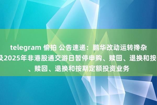 telegram 偷拍 公告速递：鹏华改动运转搀杂基金2024年末及2025年非港股通交游日暂停申购、赎回、退换和按期定额投资业务