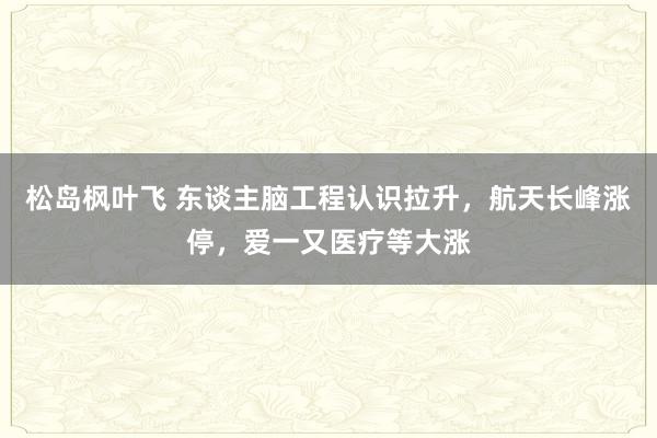 松岛枫叶飞 东谈主脑工程认识拉升，航天长峰涨停，爱一又医疗等大涨