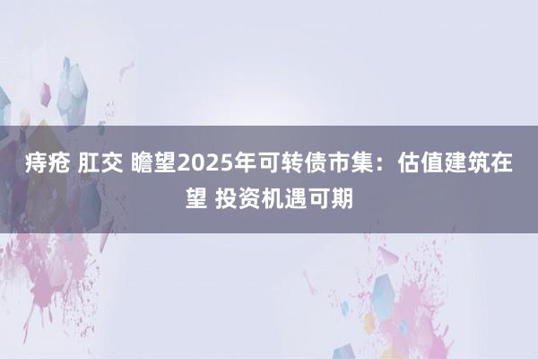 痔疮 肛交 瞻望2025年可转债市集：估值建筑在望 投资机遇可期