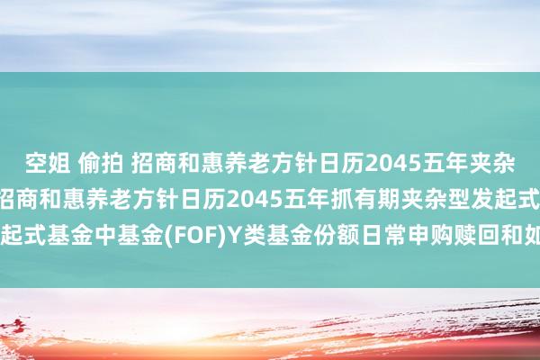 空姐 偷拍 招商和惠养老方针日历2045五年夹杂(FOF)Y: 对于盛开招商和惠养老方针日历2045五年抓有期夹杂型发起式基金中基金(FOF)Y类基金份额日常申购赎回和如期定额投资业务的公告