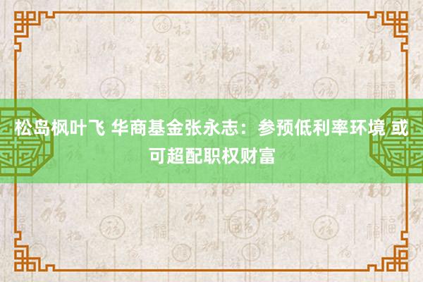 松岛枫叶飞 华商基金张永志：参预低利率环境 或可超配职权财富