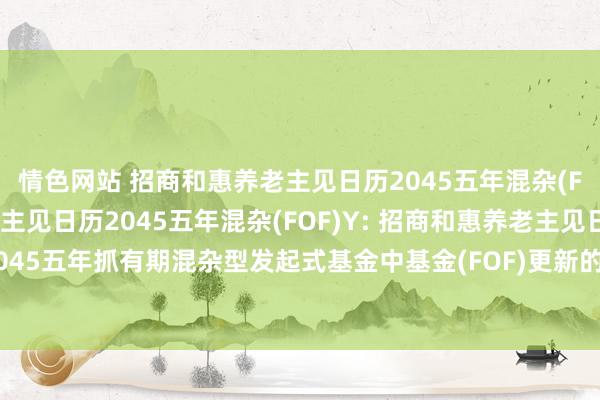 情色网站 招商和惠养老主见日历2045五年混杂(FOF)A，招商和惠养老主见日历2045五年混杂(FOF)Y: 招商和惠养老主见日历2045五年抓有期混杂型发起式基金中基金(FOF)更新的招募诠释书(二零二四年第四号)