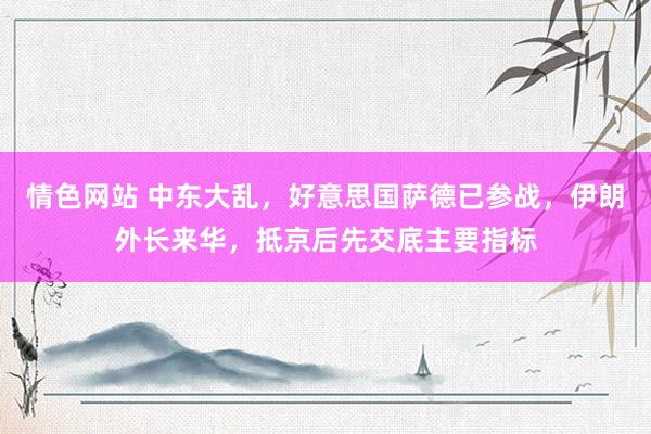 情色网站 中东大乱，好意思国萨德已参战，伊朗外长来华，抵京后先交底主要指标