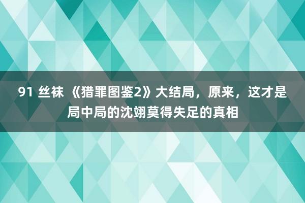 91 丝袜 《猎罪图鉴2》大结局，原来，这才是局中局的沈翊莫得失足的真相