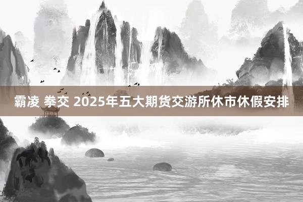 霸凌 拳交 2025年五大期货交游所休市休假安排