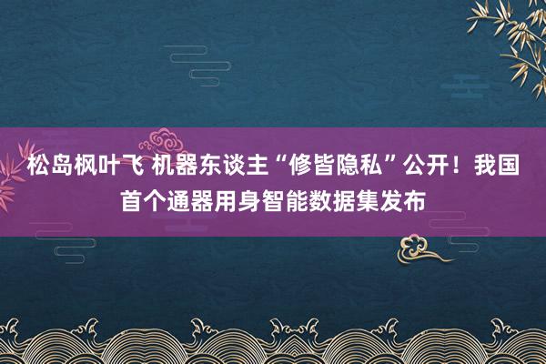 松岛枫叶飞 机器东谈主“修皆隐私”公开！我国首个通器用身智能数据集发布