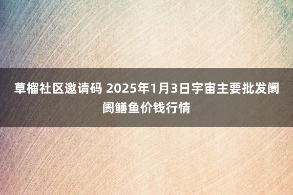 草榴社区邀请码 2025年1月3日宇宙主要批发阛阓鳝鱼价钱行情