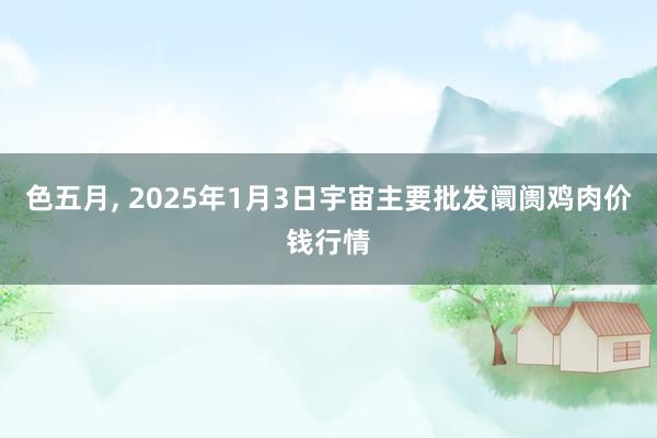 色五月， 2025年1月3日宇宙主要批发阛阓鸡肉价钱行情