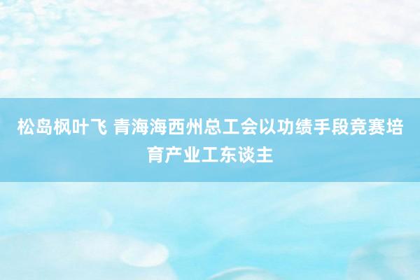 松岛枫叶飞 青海海西州总工会以功绩手段竞赛培育产业工东谈主