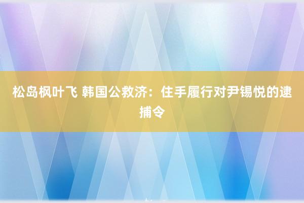 松岛枫叶飞 韩国公救济：住手履行对尹锡悦的逮捕令