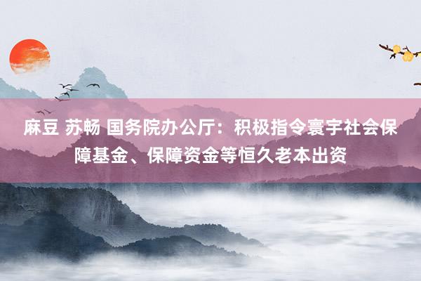 麻豆 苏畅 国务院办公厅：积极指令寰宇社会保障基金、保障资金等恒久老本出资