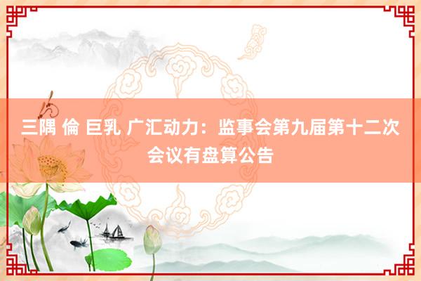 三隅 倫 巨乳 广汇动力：监事会第九届第十二次会议有盘算公告