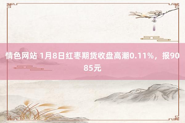 情色网站 1月8日红枣期货收盘高潮0.11%，报9085元