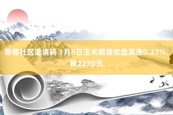 草榴社区邀请码 1月8日玉米期货收盘高涨0.27%，报2230元