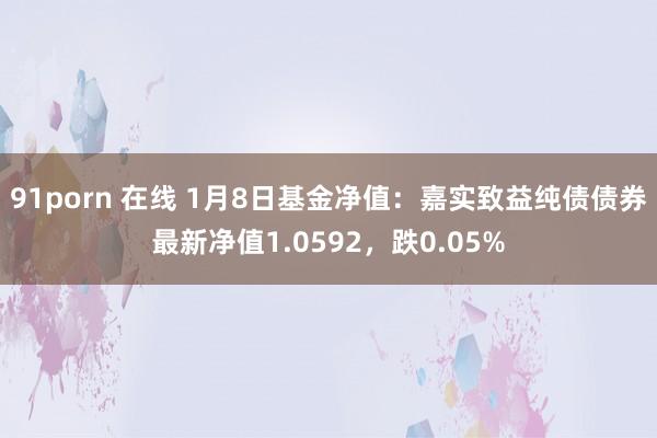 91porn 在线 1月8日基金净值：嘉实致益纯债债券最新净值1.0592，跌0.05%