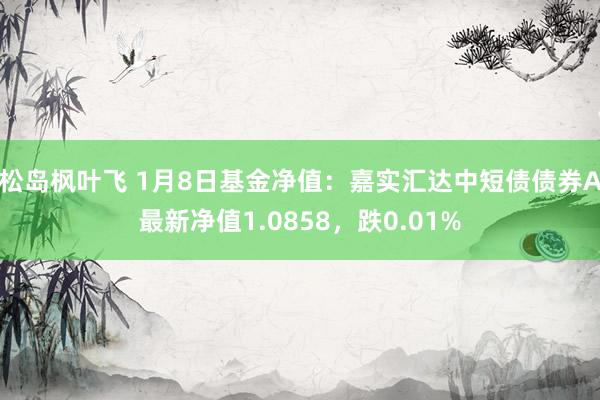 松岛枫叶飞 1月8日基金净值：嘉实汇达中短债债券A最新净值1.0858，跌0.01%