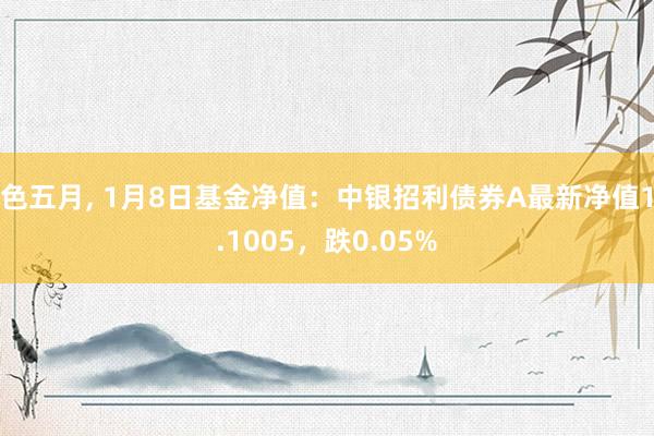 色五月， 1月8日基金净值：中银招利债券A最新净值1.1005，跌0.05%