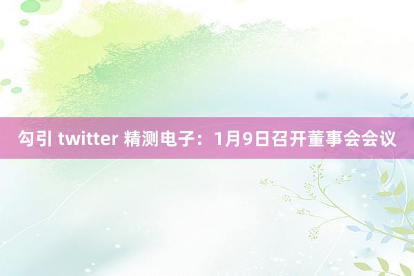 勾引 twitter 精测电子：1月9日召开董事会会议