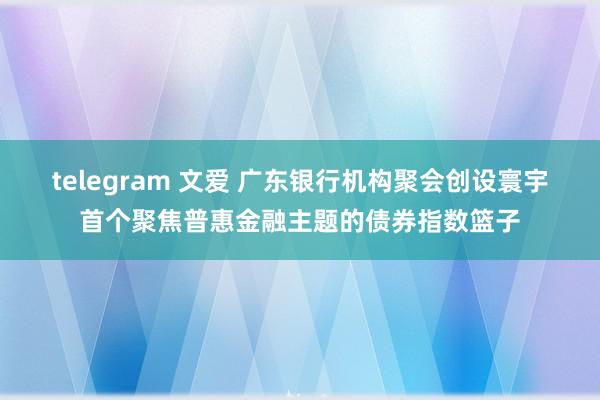 telegram 文爱 广东银行机构聚会创设寰宇首个聚焦普惠金融主题的债券指数篮子