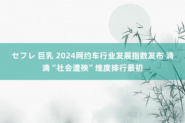 セフレ 巨乳 2024网约车行业发展指数发布 滴滴“社会遭殃”维度排行最初