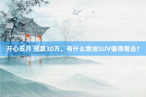 开心五月 预算30万，有什么燃油SUV值得推选？