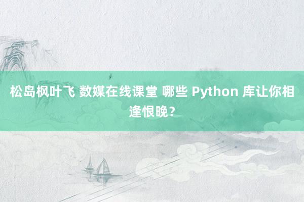 松岛枫叶飞 数媒在线课堂 哪些 Python 库让你相逢恨晚？