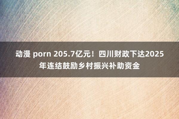 动漫 porn 205.7亿元！四川财政下达2025年连结鼓励乡村振兴补助资金